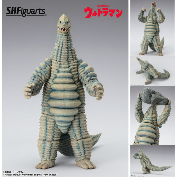 [SHF] 紅王 《超人》