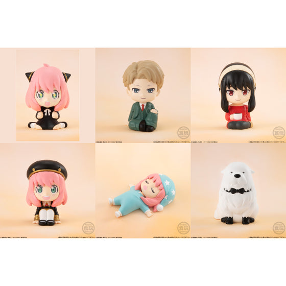 RIRAKOTTO SPY×FAMILY間諜家家酒造型公仔 (一盒10個)