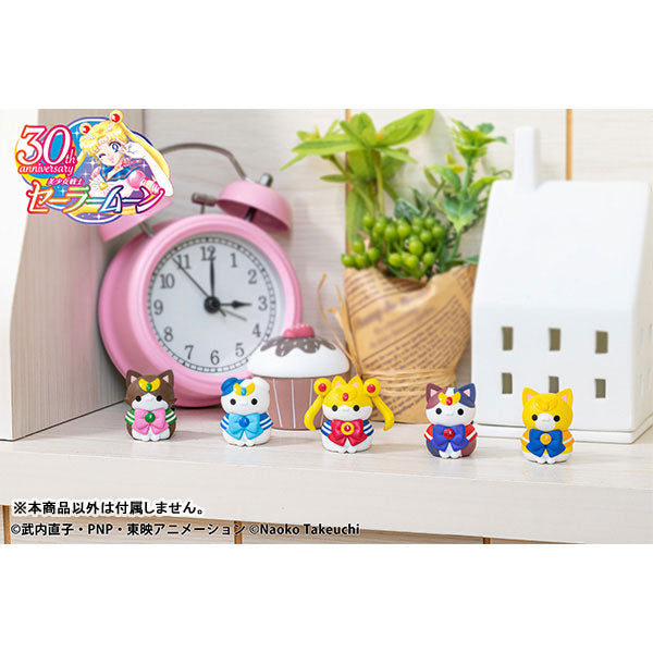 [MEGA CAT]《美少女戰士》美少喵戰士 2024 ver. (一盒8個)