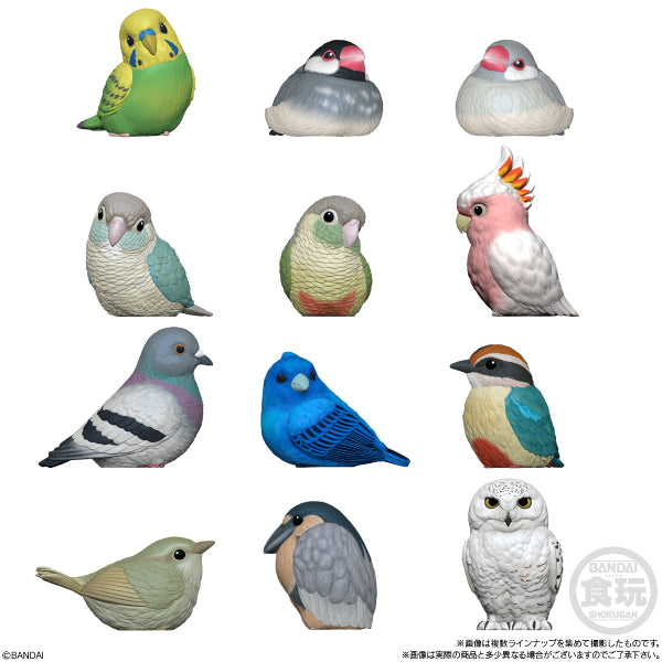 掌上動物 TE-NORI FRIENDS 第10彈 鳥類 (一套12款)