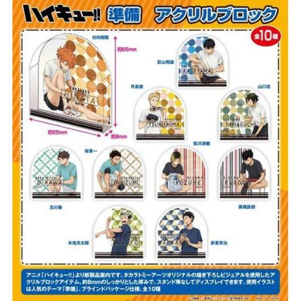 《排球少年》 Preparation 亞加力方塊 / 立牌 (一套10款)
