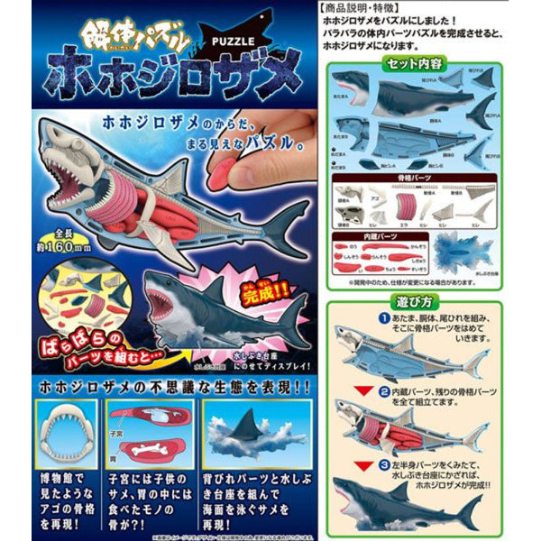 [解體拼圖][動物系列] 大白鯊