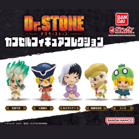 新石紀 Dr. Stone 造型公仔系列扭蛋 (一套5款)