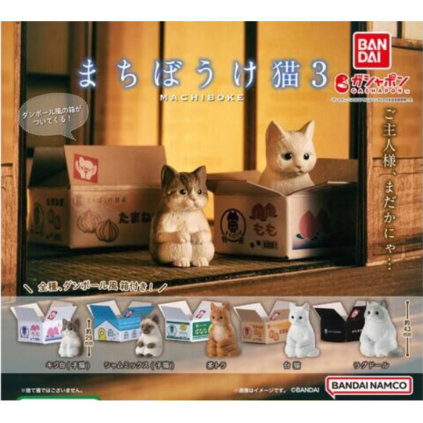 MACHIBOKE貓貓等待系列第3彈扭蛋 (一套5款)