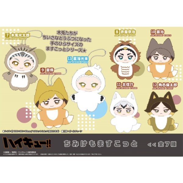 《排球少年》 Chimike 吉祥物掛飾系列 7~13 (木兔光太郎 ​/ 赤葦京治 / 宮侑 ​/ 宮治 ​/ 北信介 ​/ 角名倫太郎 ​/ 星海光來)