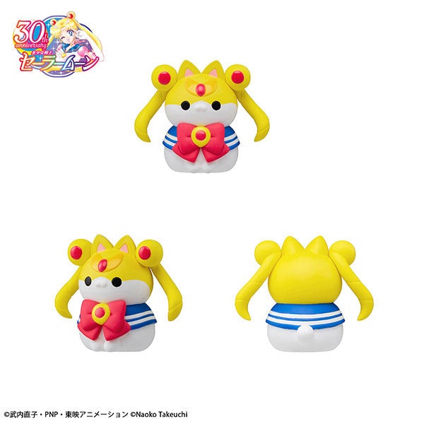 [MEGA CAT]《美少女戰士》美少喵戰士 2024 ver. (一盒8個)