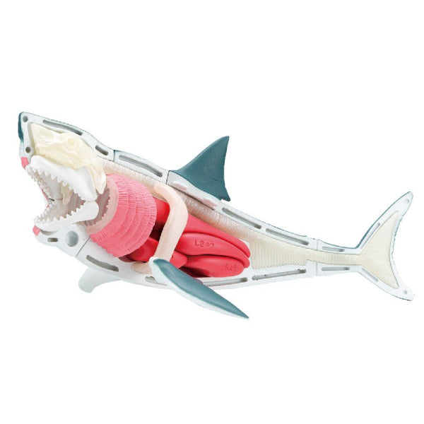 [解體拼圖][動物系列] 大白鯊