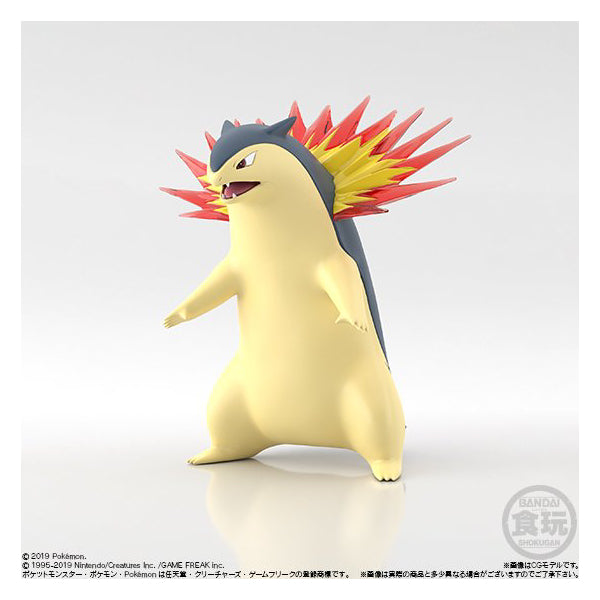 POKEMON SCALE WORLD 精靈寶可夢SW 城都地區套裝