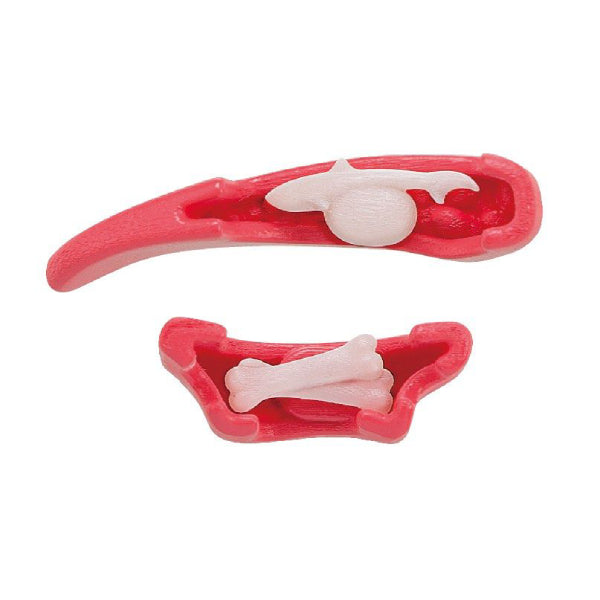 [解體拼圖][動物系列] 大白鯊