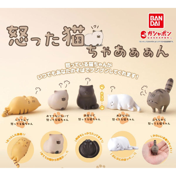 憤怒的小貓系列扭蛋 (一套5款)