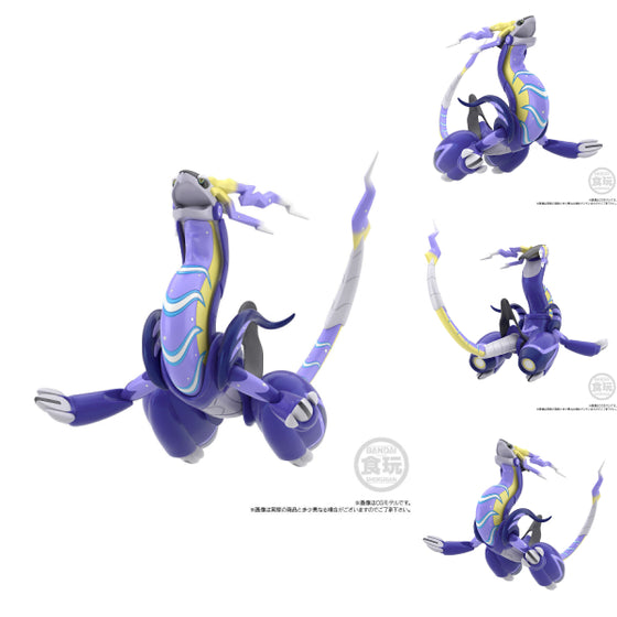 Pokemon Scale World 寵物小精靈 寶可夢 帕底亞地區 密勒頓