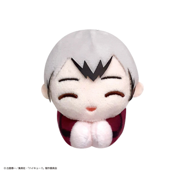 《排球少年》角色擁抱公仔系列 Special (一套10款)