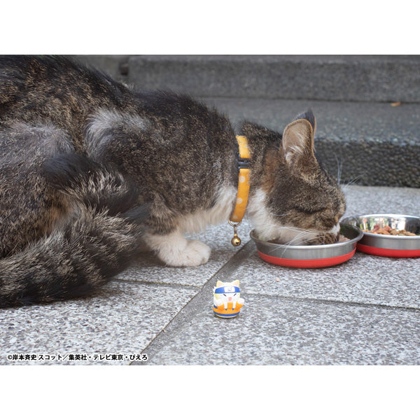 [MEGA CAT]《火影忍者》佐助君!歡迎來到這裡! (一套8款)