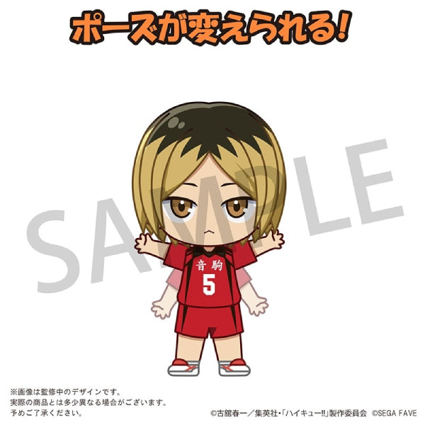 [Acrylic Doll]《排球少年》(日向翔陽/ 影山飛雄/ 月島螢/ 黒尾鐵朗/ 孤爪研磨)