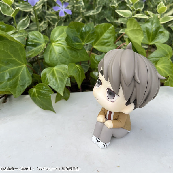 [LOOK UP]《排球少年!!》(宮侑 / 宮治) (2026年5月再販版本)