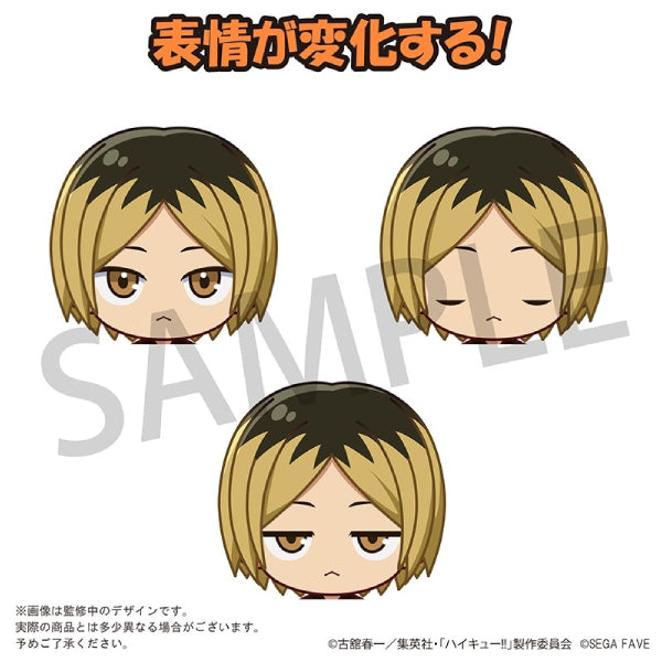 [Acrylic Doll]《排球少年》(日向翔陽/ 影山飛雄/ 月島螢/ 黒尾鐵朗/ 孤爪研磨)