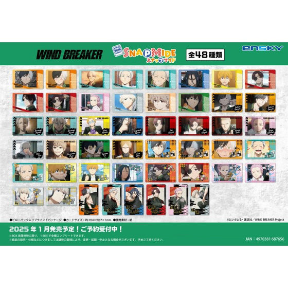 《防風少年》人物快照集錦收藏卡 (一盒16包)