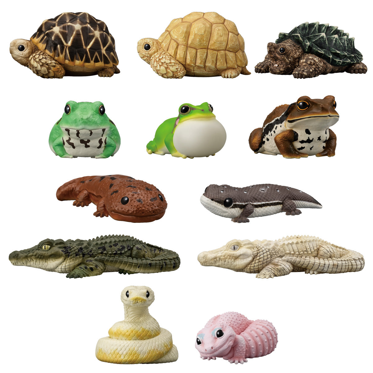 掌上動物 TE-NORI FRIENDS系列 第12彈 兩棲動物 (一套12款)