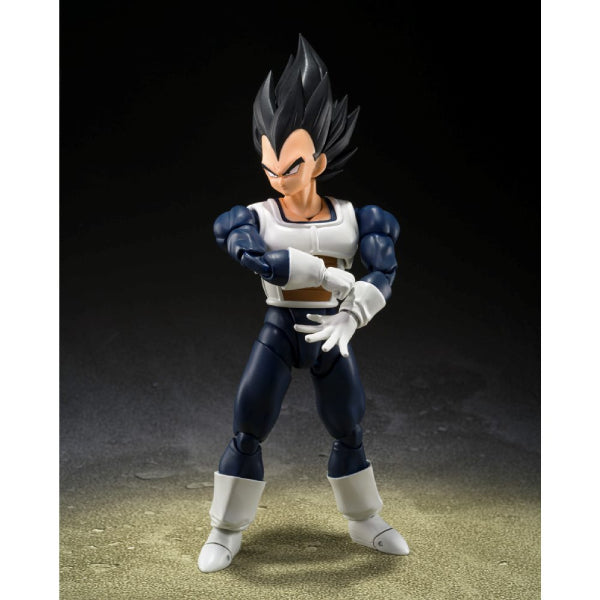 [魂SHOP限定] SHF 比達 -舊戰鬥服- 龍珠 比達 貝吉塔 達爾