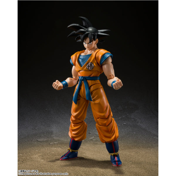 [SHF]《龍珠超 超級英雄》孫悟空