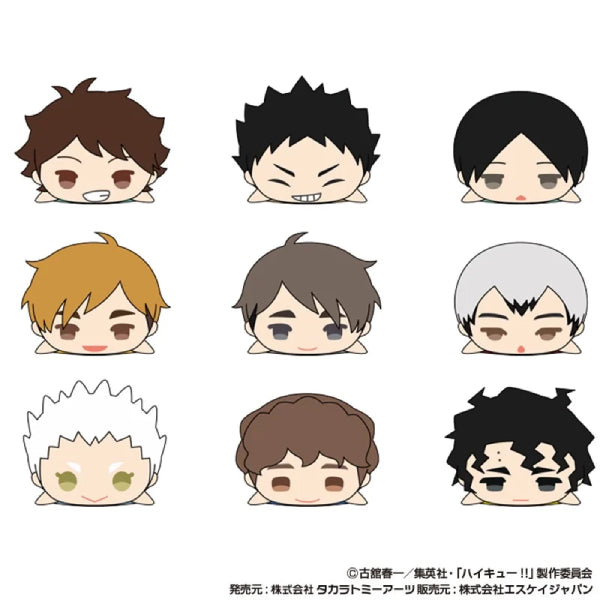 《排球少年》 Mochimochi Mascot 公仔系列 第2彈 (一套9款)