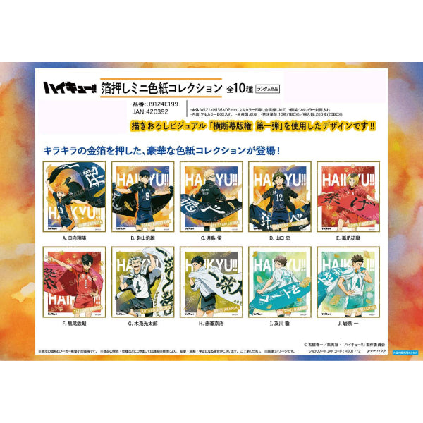 《排球少年》 橫斷幕版權色紙系列 第一彈 (一套10個)