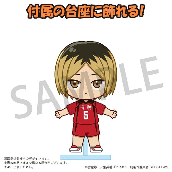 [Acrylic Doll]《排球少年》(日向翔陽/ 影山飛雄/ 月島螢/ 黒尾鐵朗/ 孤爪研磨)