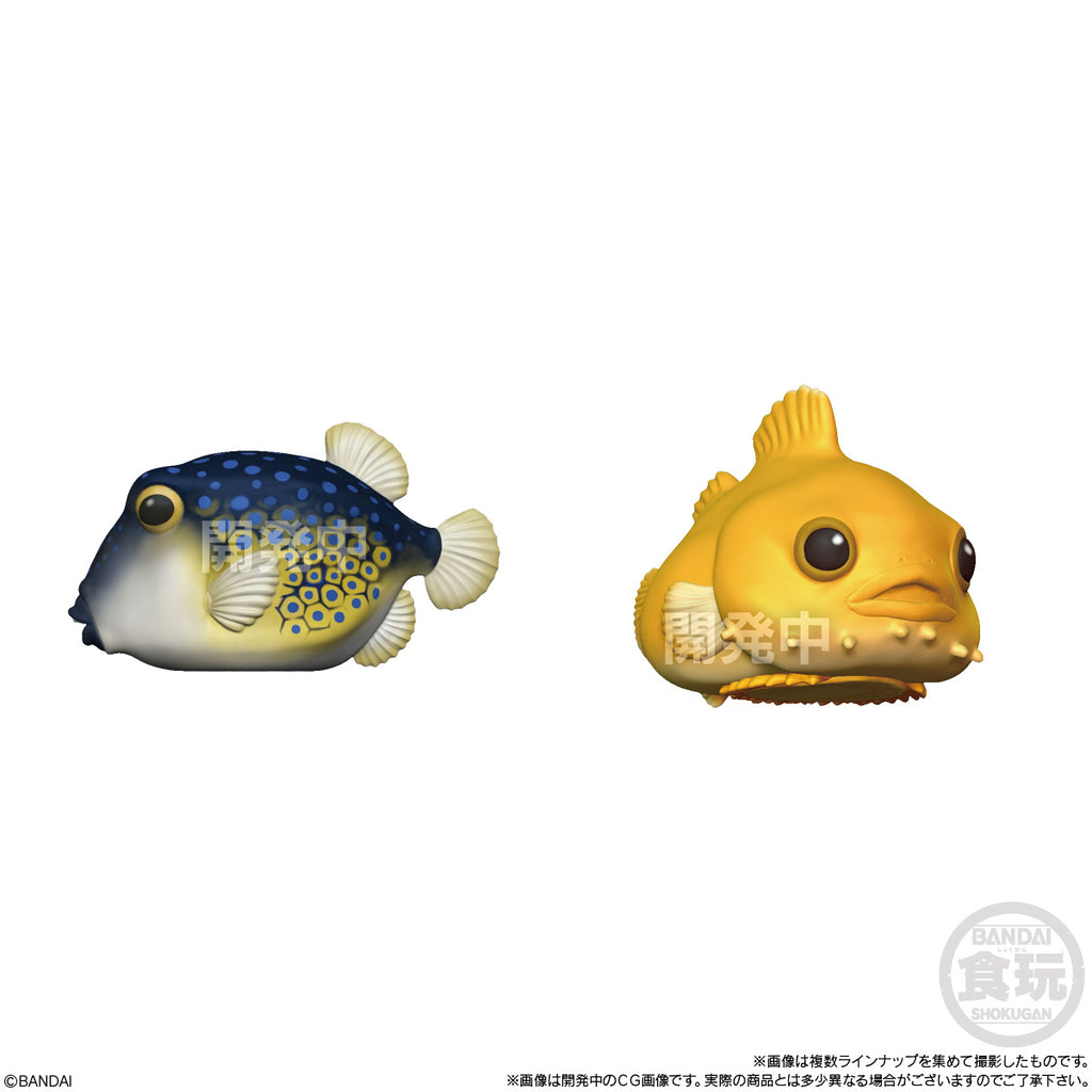 掌上小動物 兩棲動物公仔 (一套8款)