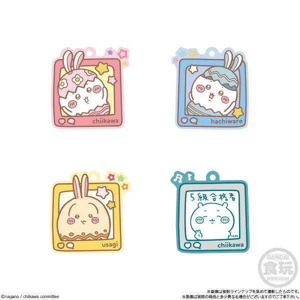 Chiikawa 膠牌橡皮糖第4彈 (一盒12包)