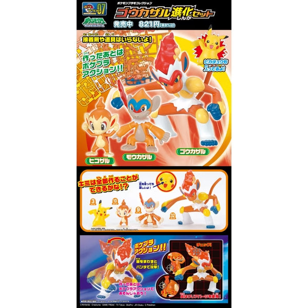 Pokemon Plastic Model Collection Select 007 Series GOUKAZARU EVOLUTION SET 寵物小精靈 寶可夢 烈炎猴