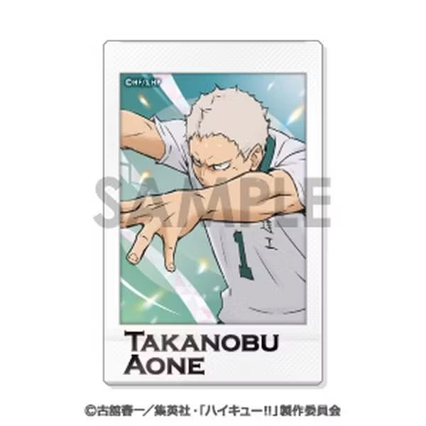 《排球少年》角色快照卡 第九彈 BOX B (一套8款)