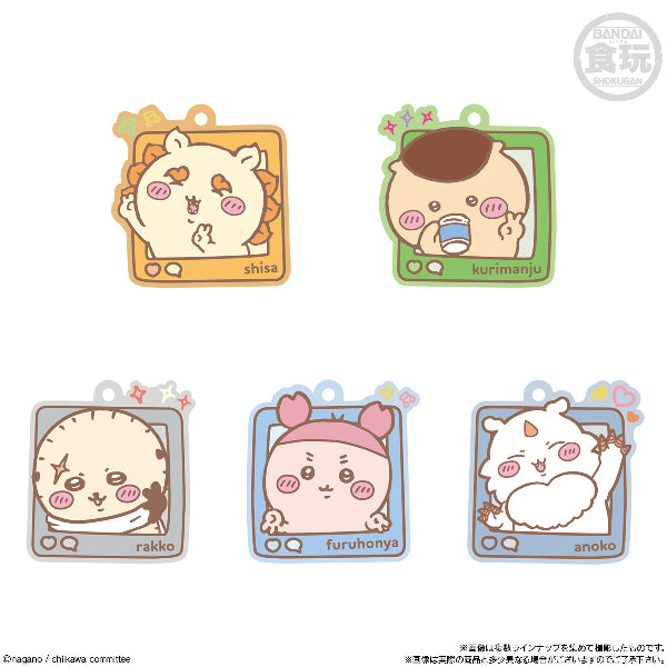 Chiikawa 膠牌橡皮糖第4彈 (一盒12包)