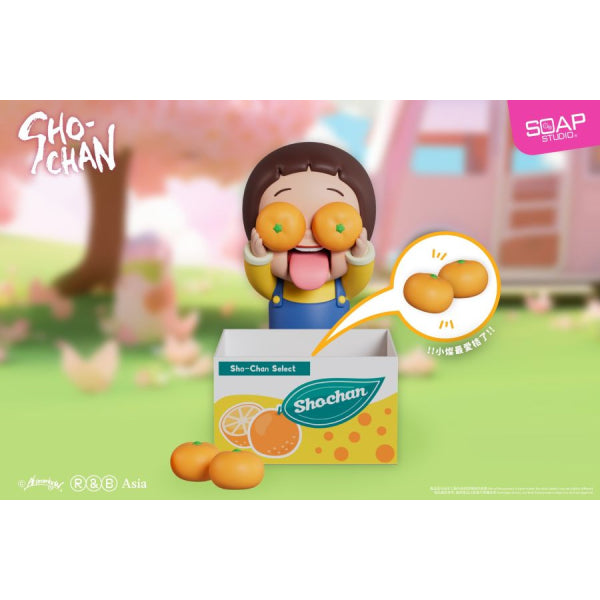 燦子陽光郊遊系列盲盒 (一盒8個)