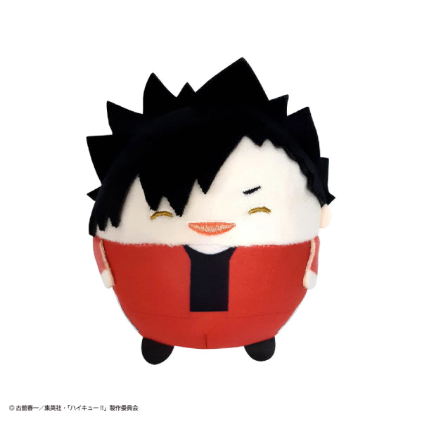 Haikyu!! Fuwakororin Special (set of 10) (2024 June Resale ver.) 排球少年