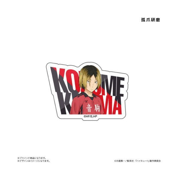 《排球少年》名字亞加力襟章 (一套8款)