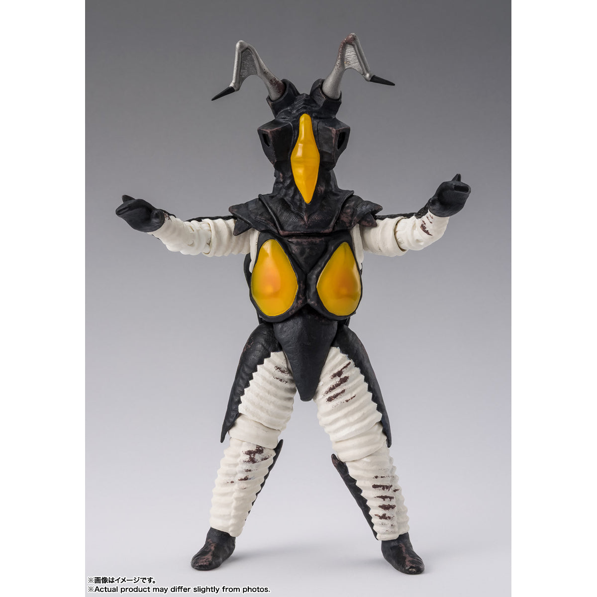 [SHF] 積頓 - 60周年紀念版