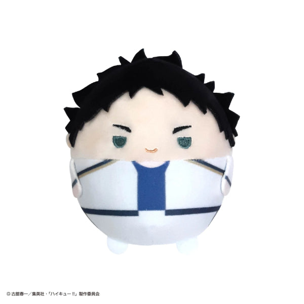 Haikyu!! Fuwakororin Special (set of 10) (2024 June Resale ver.) 排球少年
