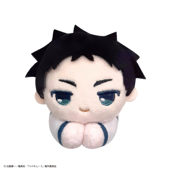 《排球少年》角色擁抱公仔系列 Special (一套10款)