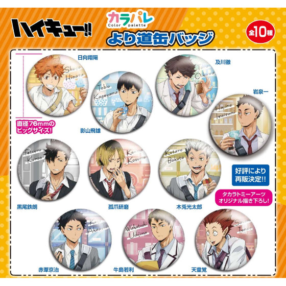 排球少年 Color Palette Yori Michi 襟章 (75mm) (一套10款) (2024年9月再販版本)