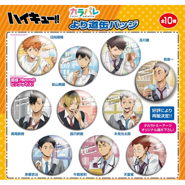 排球少年 Color Palette Yori Michi 襟章 (75mm) (一套10款) (2024年9月再販版本)