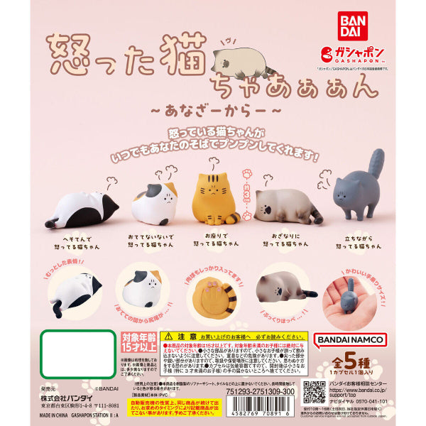 憤怒的小貓系列扭蛋 - 別色 (一套5款)