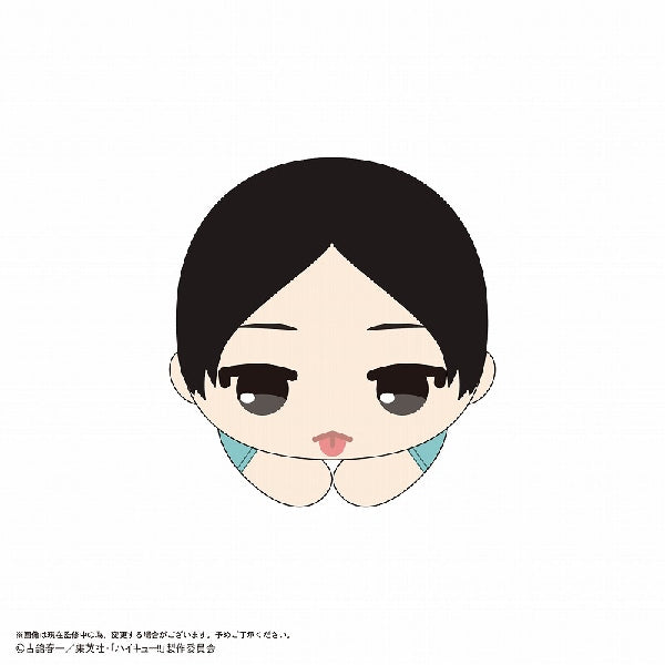 《排球少年》角色擁抱公仔系列 第 9 彈 (一套 6 款)