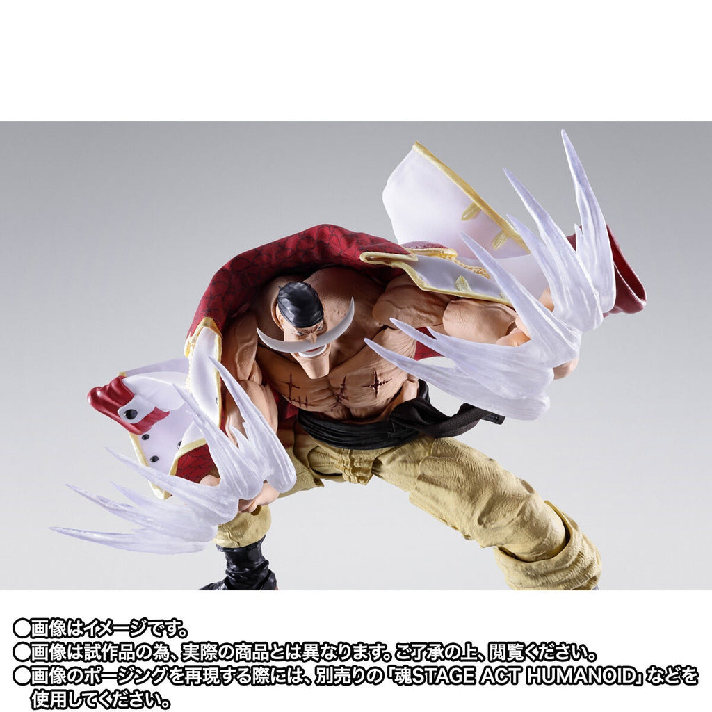 [魂SHOP限定] SHF 愛德華·紐歌特 (白鬍子) -瑪林科特頂上決戰-