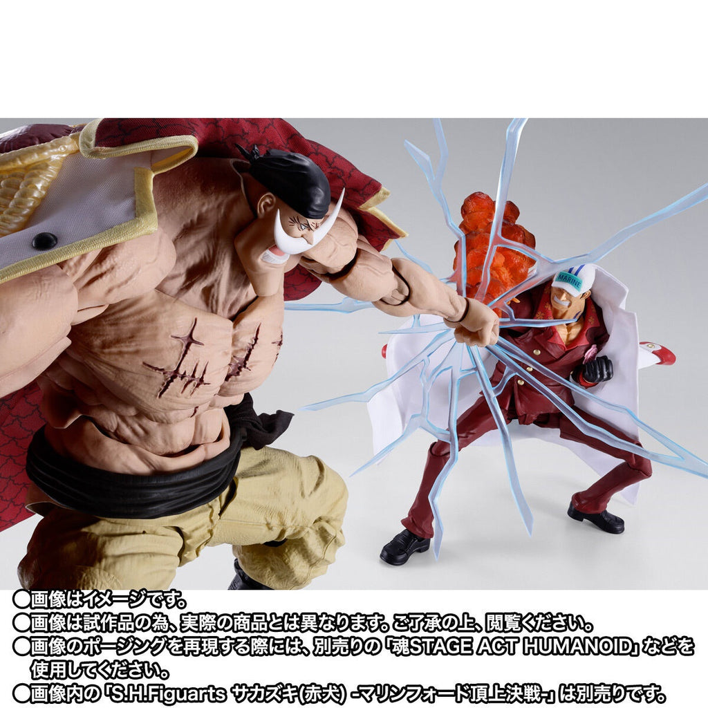 [魂SHOP限定] SHF 愛德華·紐歌特 (白鬍子) -瑪林科特頂上決戰-