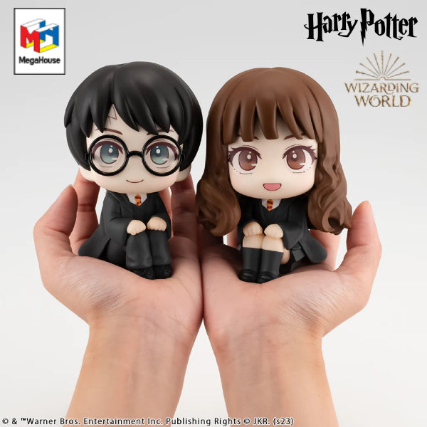 [LOOK UP]《哈利波特》(哈利波特 / 妙麗格蘭傑)