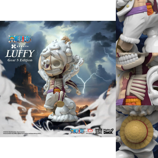 [XXRAY PLUS]《海賊王》五檔路飛