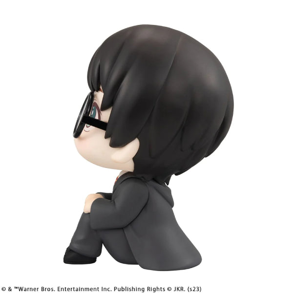 [LOOK UP]《哈利波特》(哈利波特 / 妙麗格蘭傑)