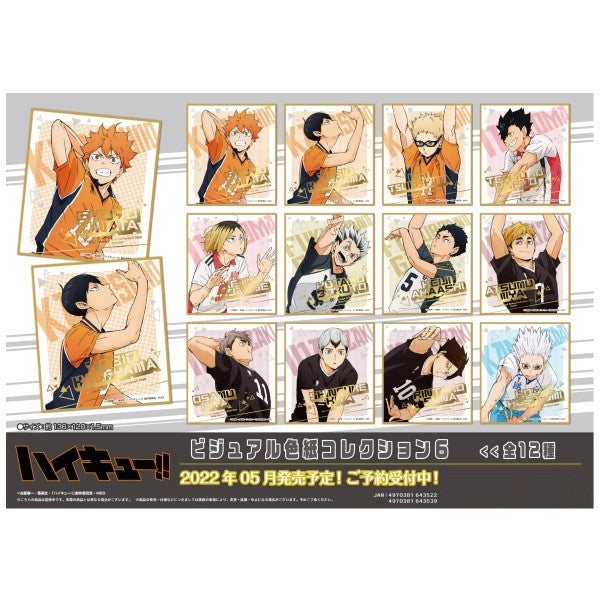 《排球少年》VISUAL 色紙 COLLECTION 6 (一套12款)