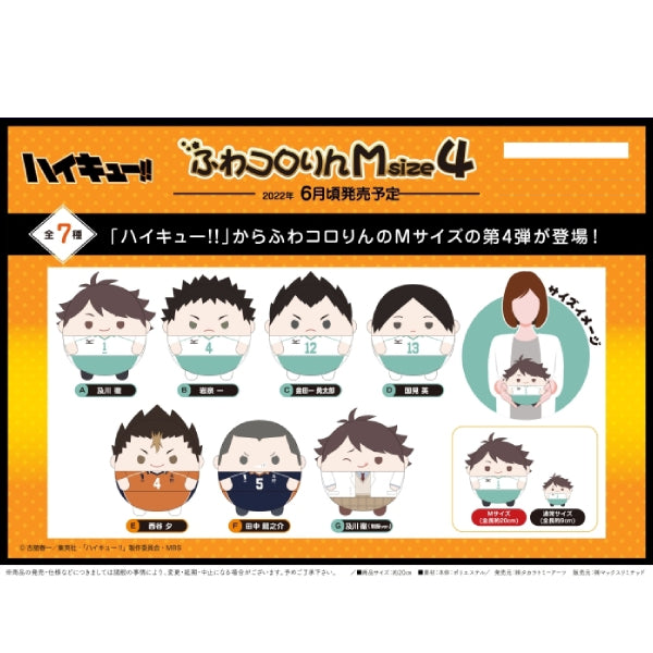 《排球少年》M Size 胖胖公仔系列 4