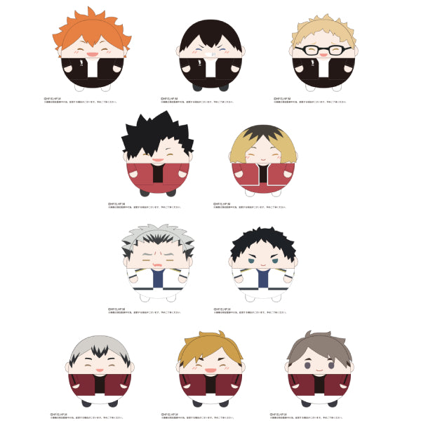 《排球少年》BIG Special 胖胖公仔系列